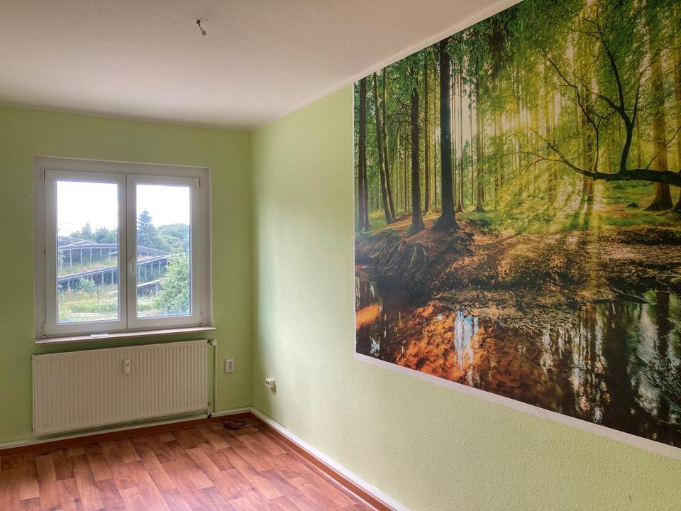 Thumbnail-schöne helle 4-Raum Wohnung in Hüttenrode mit Gartennutzung