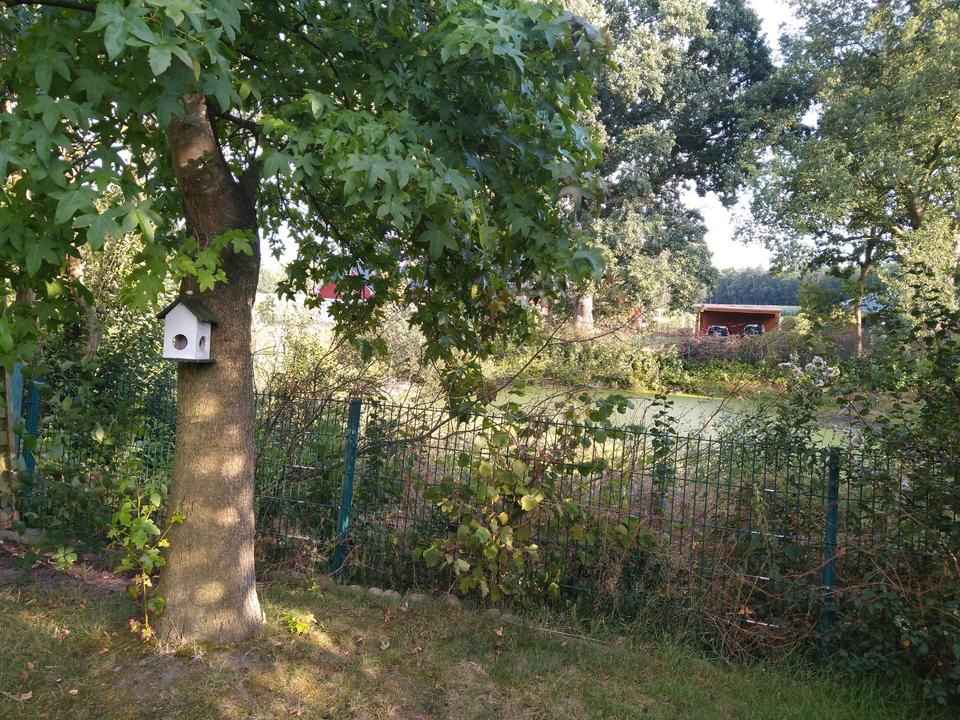 Thumbnail-2 bis 3,5 Zimmer in Huntlosen mit Garten viel Ruhe