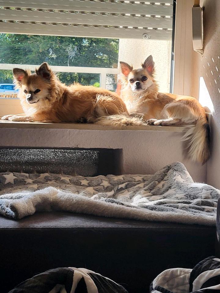 Thumbnail-BITTE Lesen ,UM MITHILFE