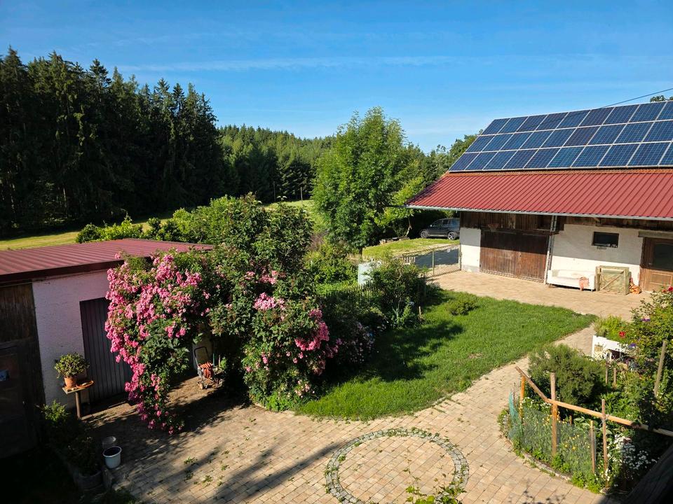 Thumbnail-2 zimmer Wohnung ab 1.7.26