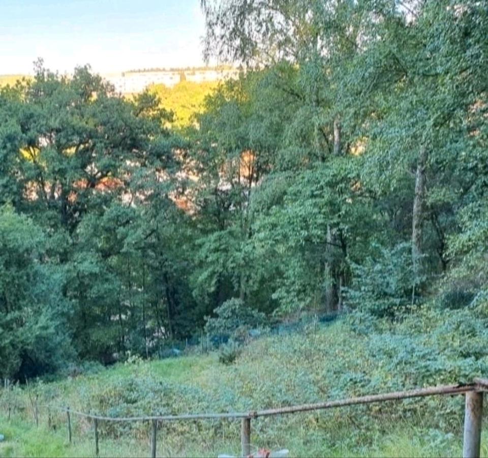 Thumbnail-Privat-Garten in Stadtroda
