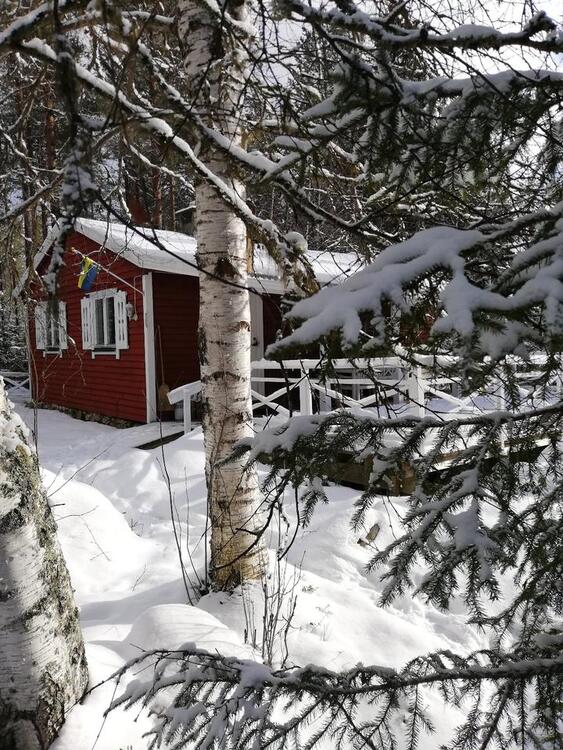 Thumbnail-Winter in Mittelschweden !!! privates Ferienhaus fuer 2-3 Pers