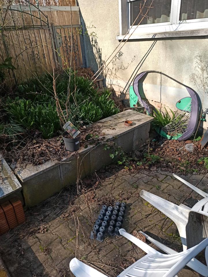 Thumbnail-Garten in Bad Homburg Ober - Eschbach zu vermieten