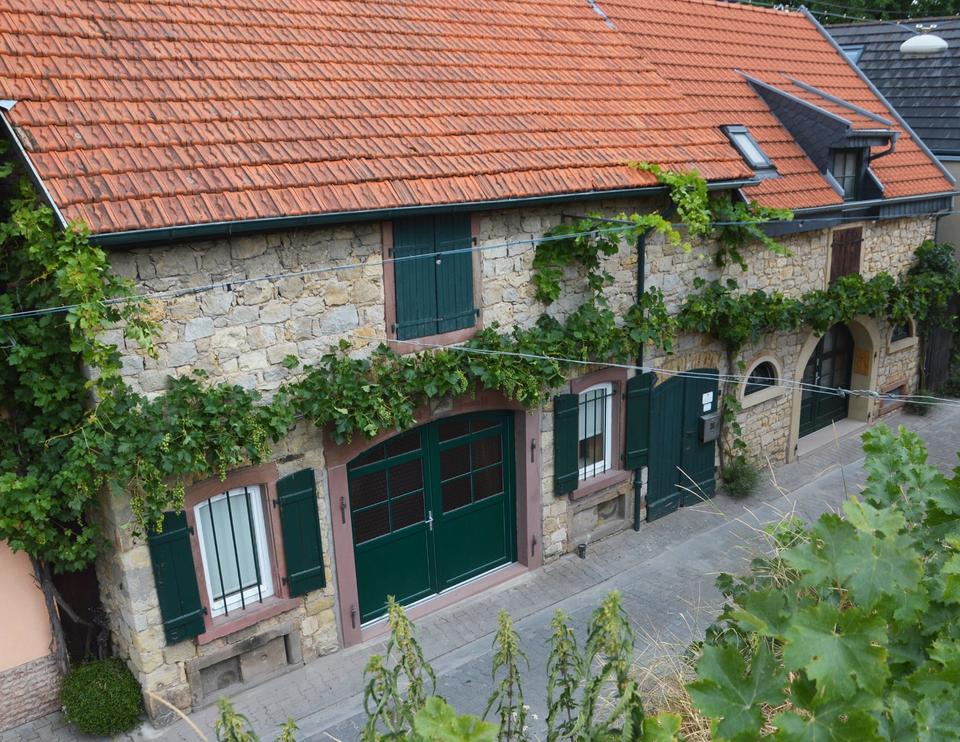 Thumbnail-Urlaub im Rebenmeer Rheinhessen Guntersblum Ferienhaus von Privat