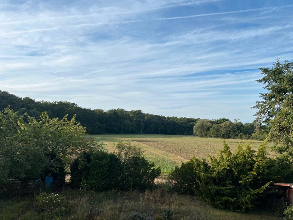 Thumbnail-Einfamilienhaus mit Doppelgarage und Einliegerwohnung zum Verkauf