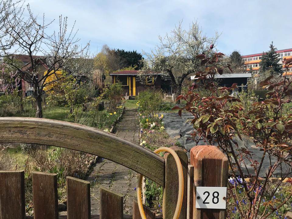 Thumbnail-Verwunschener Kleingarten in Gohlis Nord abzugeben