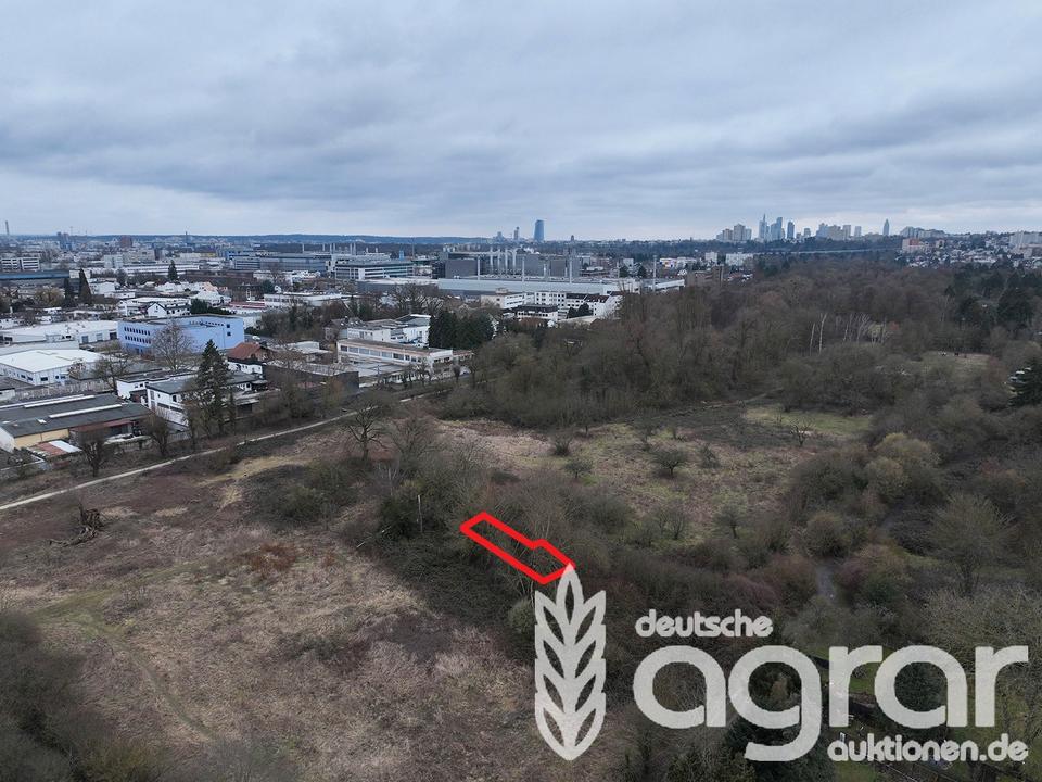 Thumbnail-Überwucherte Grünfläche (ca. 118 m²) in Frankfurt am Main Seckbach