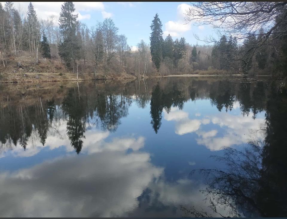 Thumbnail-Ferienwohnung in Altenau im Harz (GoodTimes)