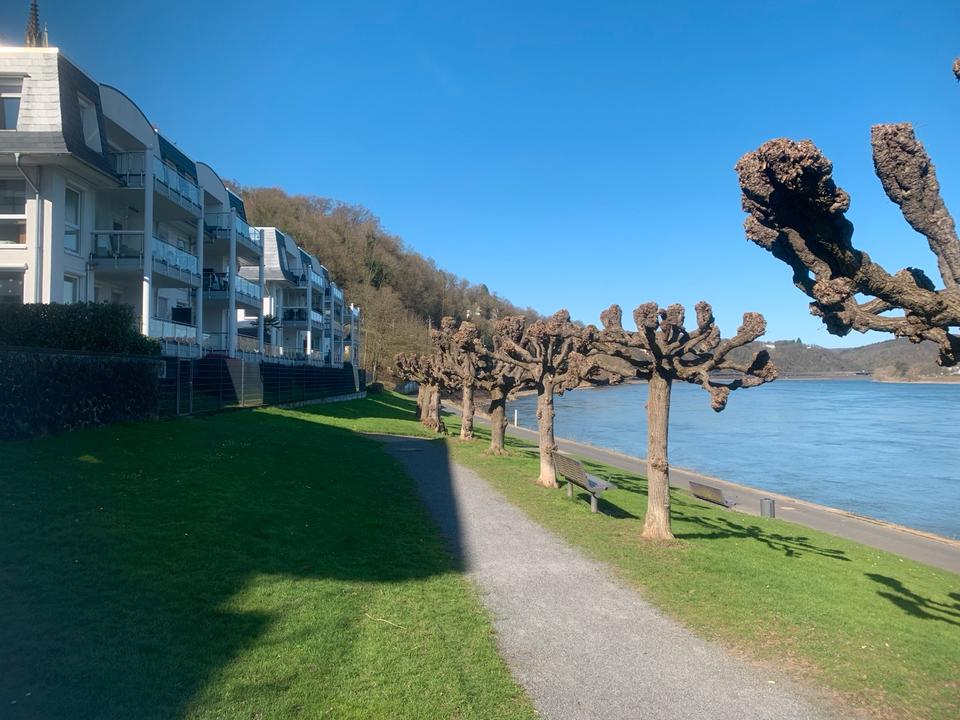 Thumbnail-Penthouse an der Rheinpromenade
