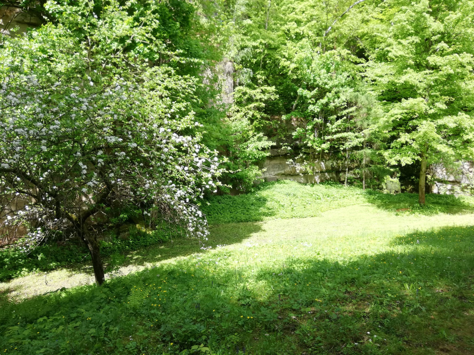 Thumbnail-Grundstück in Porschdorf bei Bad Schandau