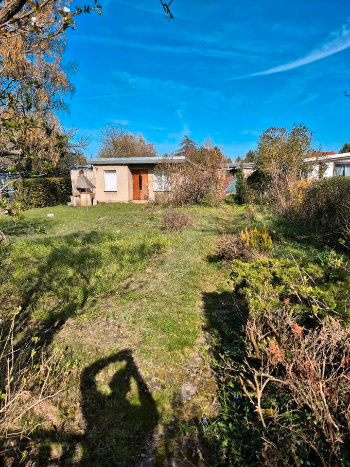 Thumbnail-Kleingarten im KGV Sonnenstein in Taucha