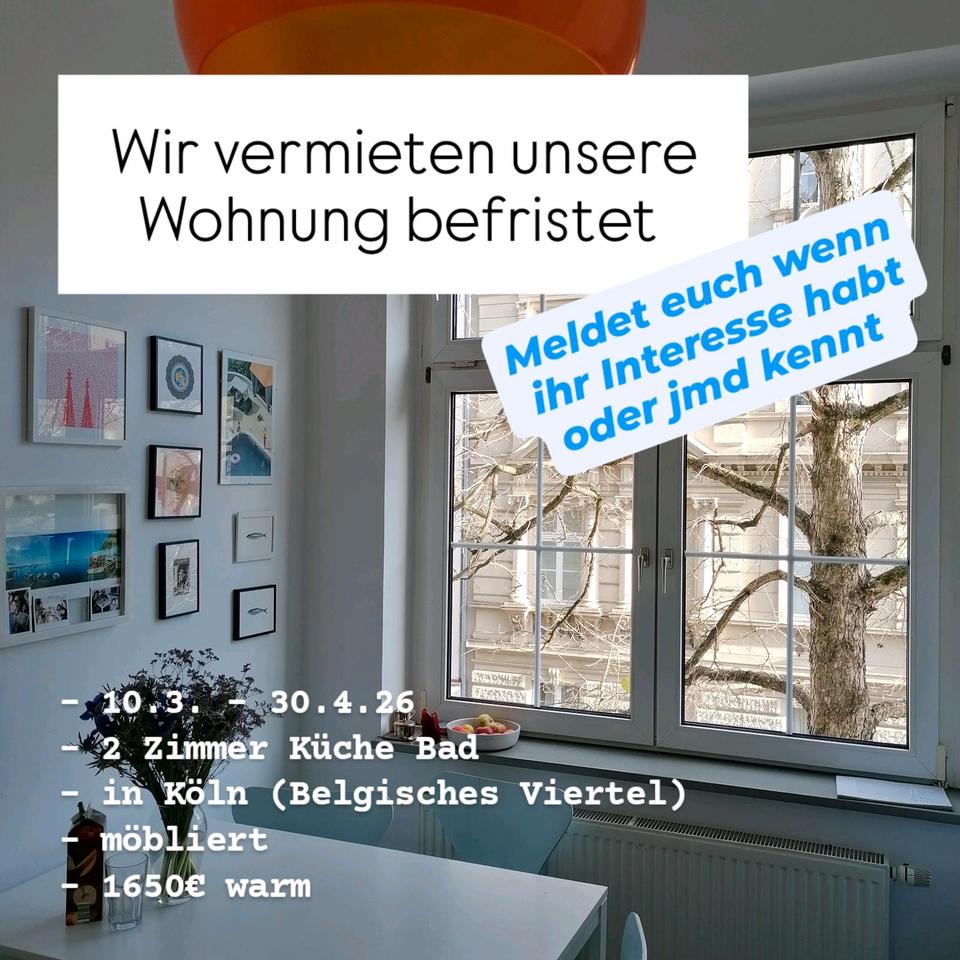 Thumbnail-Möblierte Wohnung im Herzen des belgischen Viertels Zwischenmiete