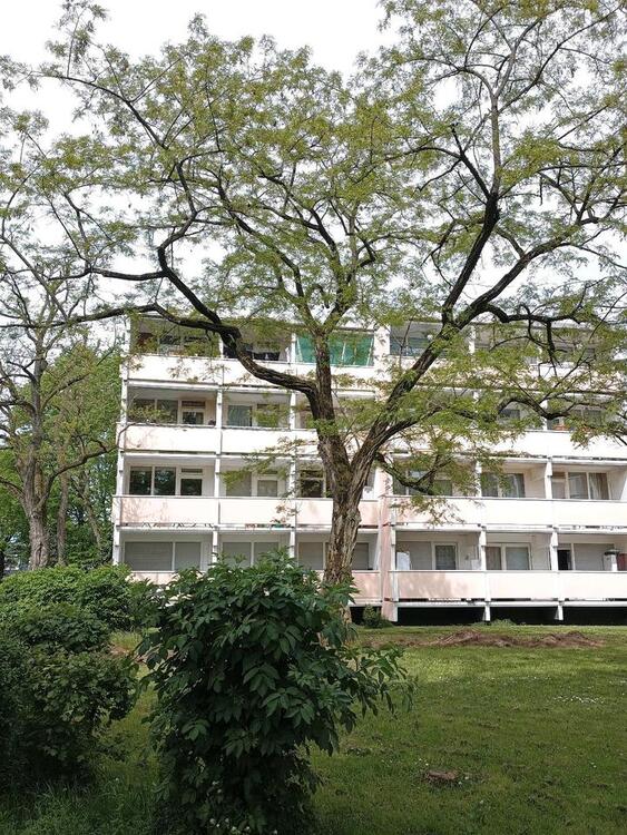 Thumbnail-Provisionsfrei: 3-Zimmerwohnung in Frankfurt - Nied