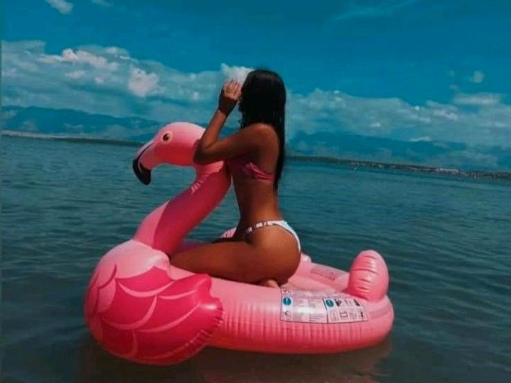 Thumbnail-Villa Stella 2 Apartments auf der Insel Vir bei Zadar