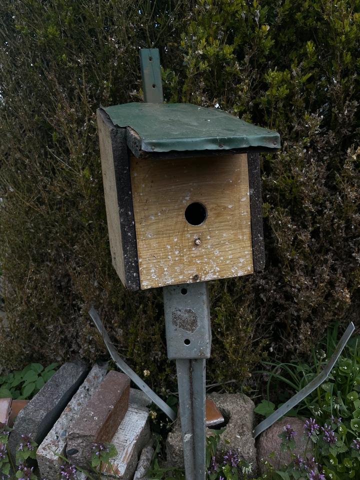 Thumbnail-1 Zimmmer haus für junge familie