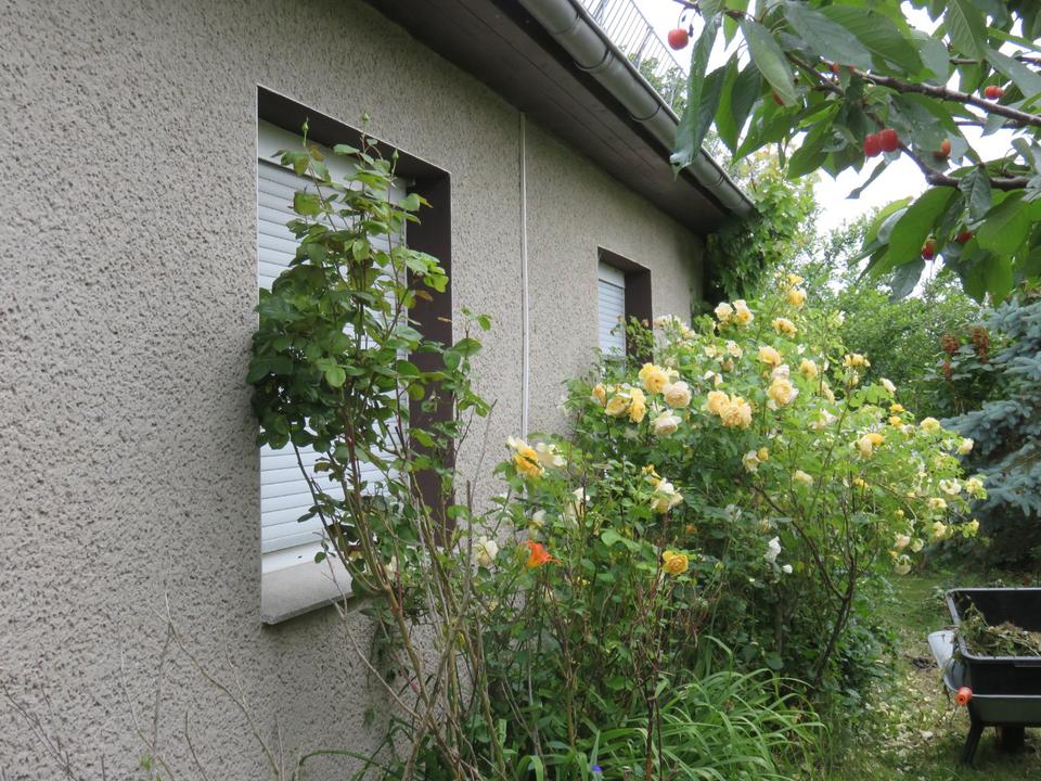 Thumbnail-Haus in Ostseenähe zu verkaufen