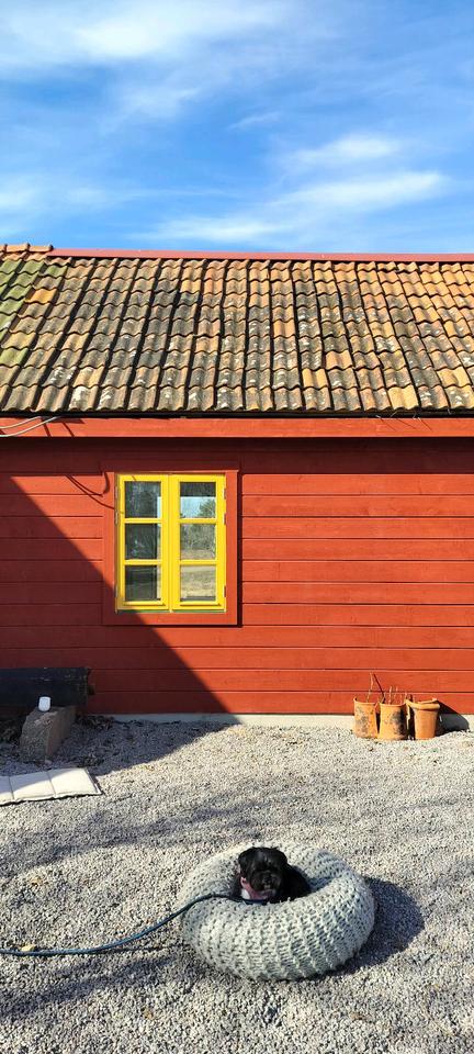Thumbnail-Ferienhaus Schweden Kalmarsund umgebauter Stall