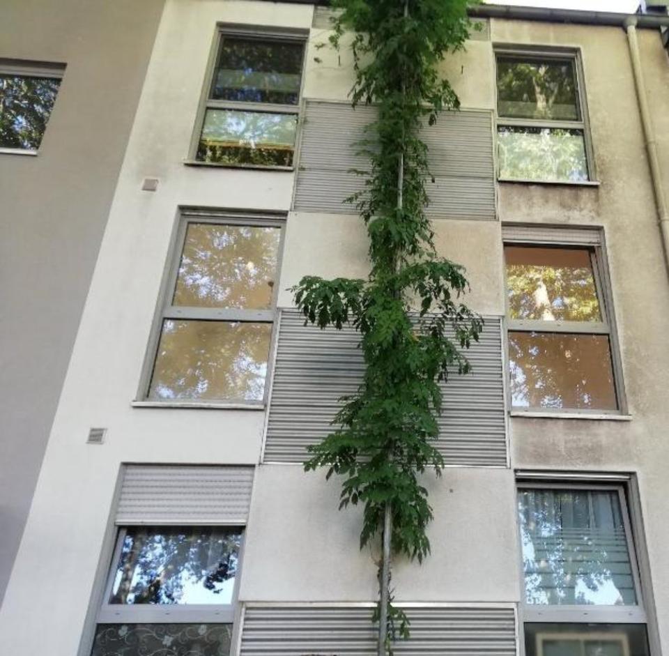 Thumbnail-Mietwohnung Bahnhofstr. 8a, 42579 Heiligenhaus