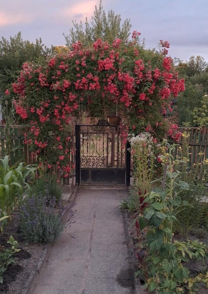 Thumbnail-Pachtgarten 300 Quadratmeter Adresse auf der letzte Bild sehen