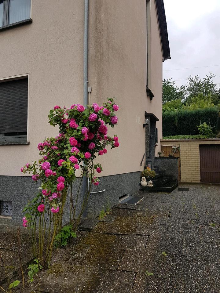 Thumbnail-2 ZKB Wohnung