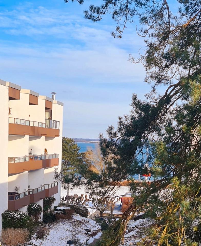 Thumbnail-Ferienwohnung in Travemünde noch Termine frei ! Ostseeblick Hund