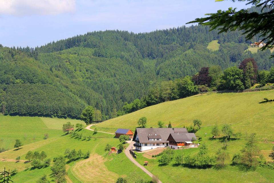 Thumbnail-Schwarzwald-Ferienwohnungen für 2 - 13 Pers., Ferienhaus2-6 Pers.