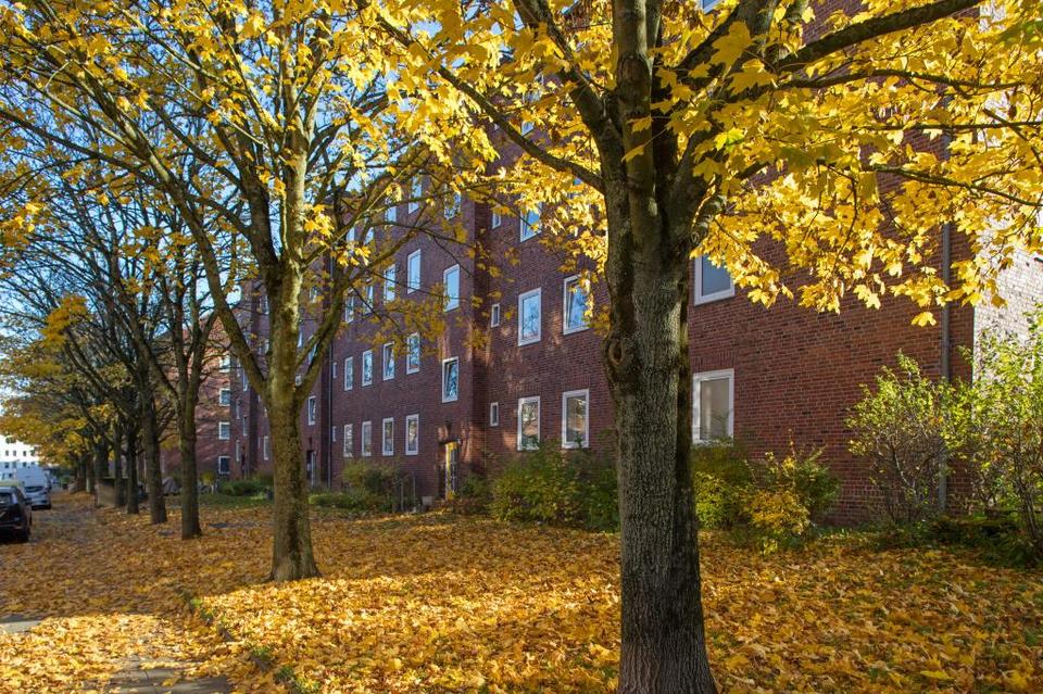 Thumbnail-Demnächst verfügbar! 2-Zimmer-Wohnung in Kiel