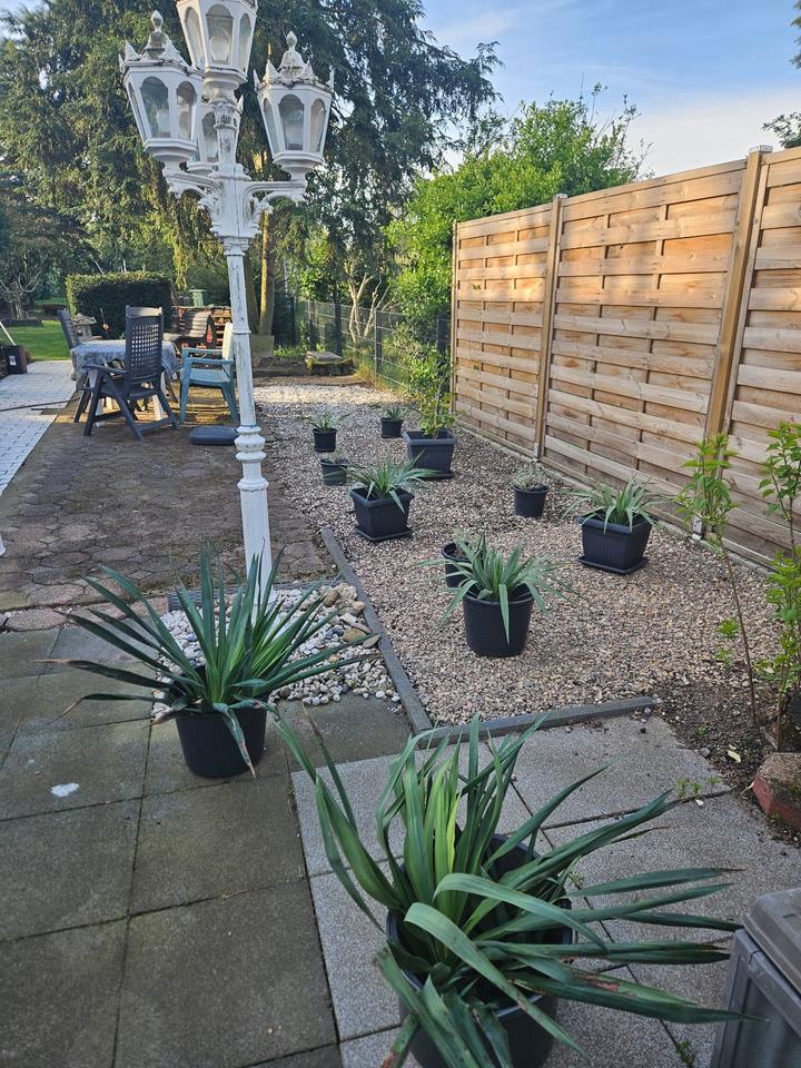 Thumbnail-Altbau-Charme trifft Gartenidylle