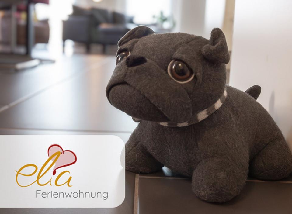 Thumbnail-Ferienwohnung 