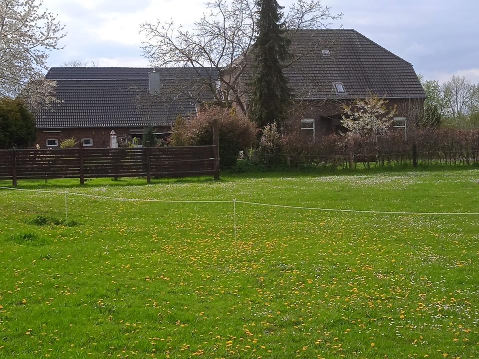 Thumbnail-Provisionsfreier sanierter Bauernhof für Pferdehaltung