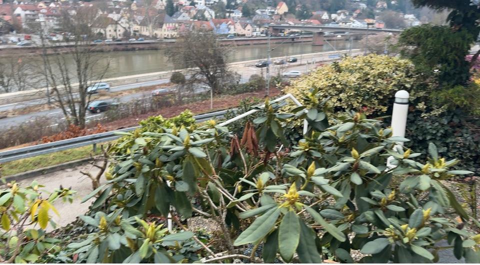 Thumbnail-Mietwohnung