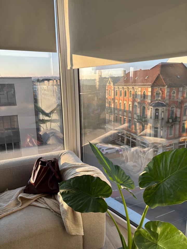 Thumbnail-Einzimmerwohnung in Dresden Löbtau-Nord