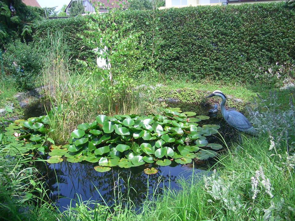 Thumbnail-2-Zi-EG-WHG-57qm-Wörnitz-EBK-Gartennutzung