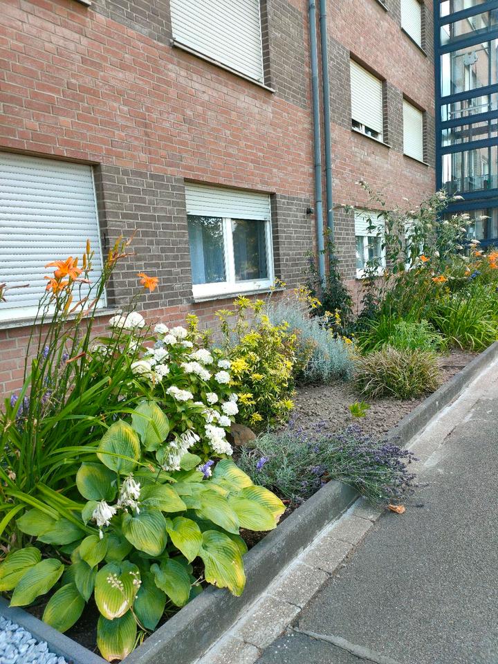 Thumbnail-Wohnung in Heinsberg -Dremmen zu vermieten