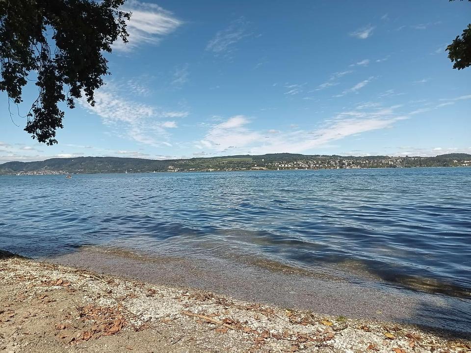 Thumbnail-Traumwohnung Home Office Konstanz 