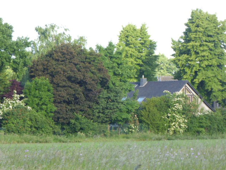 Thumbnail-Ruhiges Wohnen in der Natur