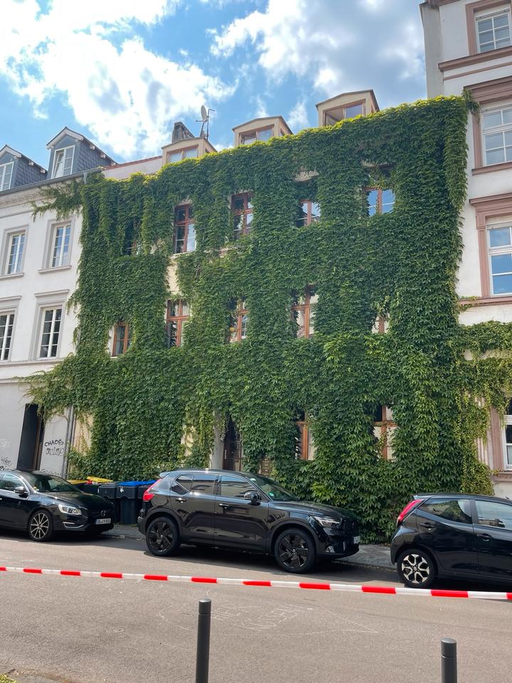 Thumbnail-1zb möblierte Wohnung ruhige Lage mitten in der Stadt