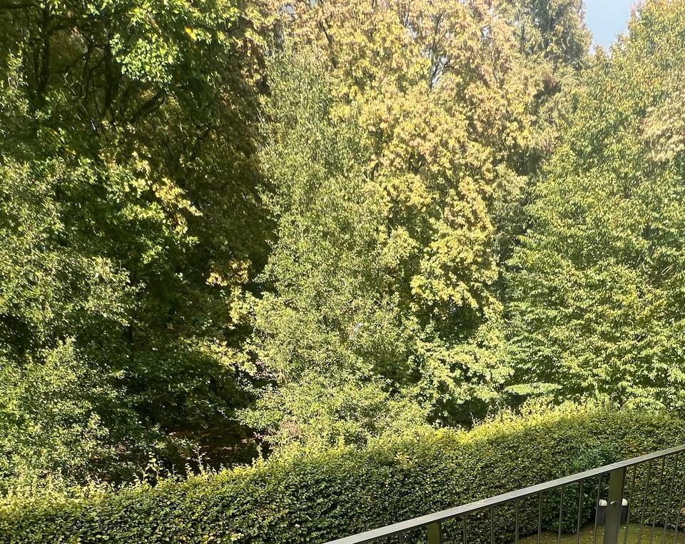 Thumbnail-MS: für 2-3 Jahre: 80 qm in exkl. Citylage mit Blk.