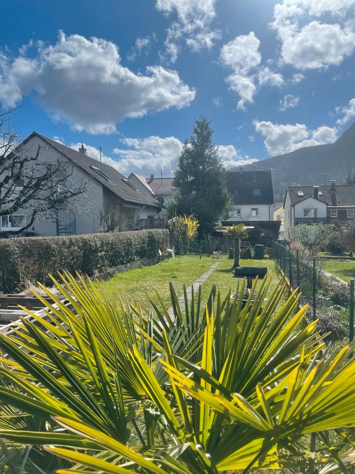 Thumbnail-Einfamilienhaus