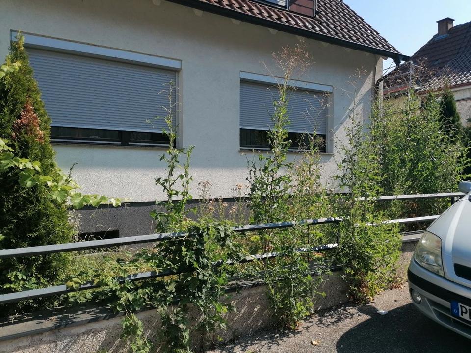 Thumbnail-Freistehendes EFH mit Dach-Einliegerwohnung