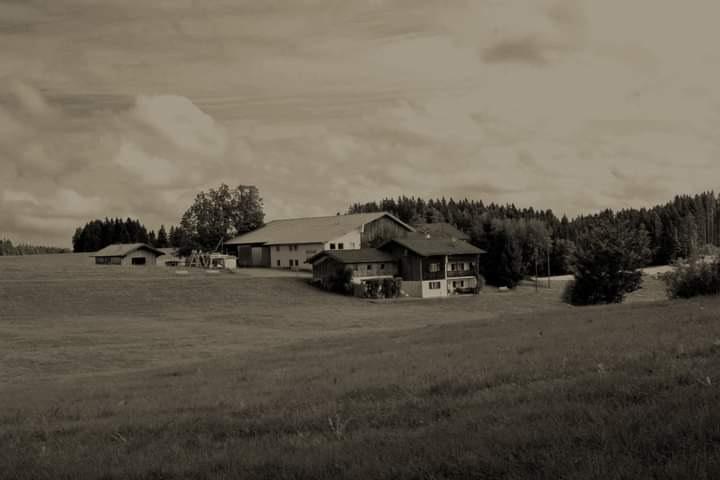 Thumbnail-Ferienwohnung