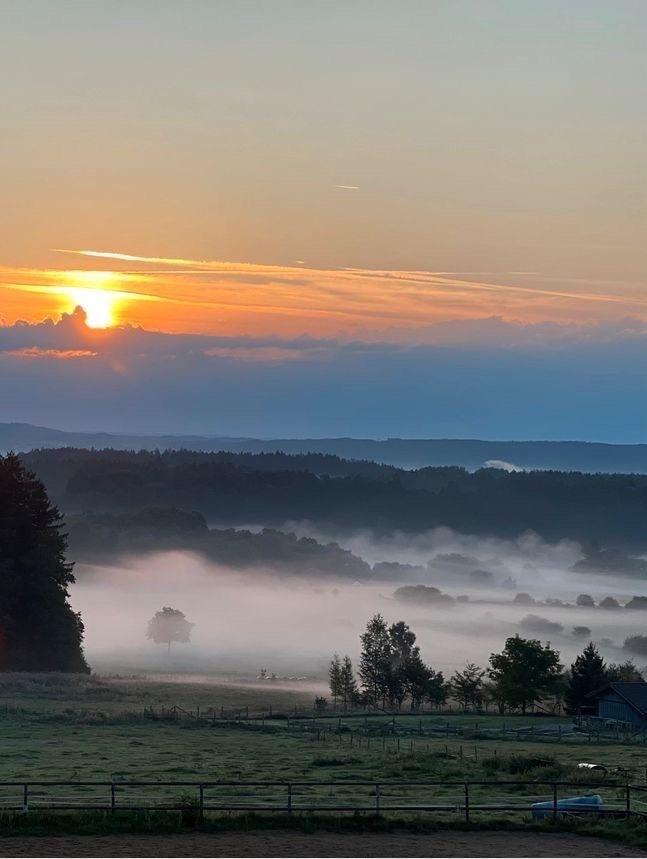 Thumbnail-KönigsCard | Ferienwohnung für 8 | Hund erlaubt