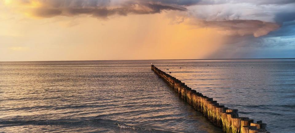 Thumbnail-Eigentumswohnung in Zingst direkt am Sandstrand