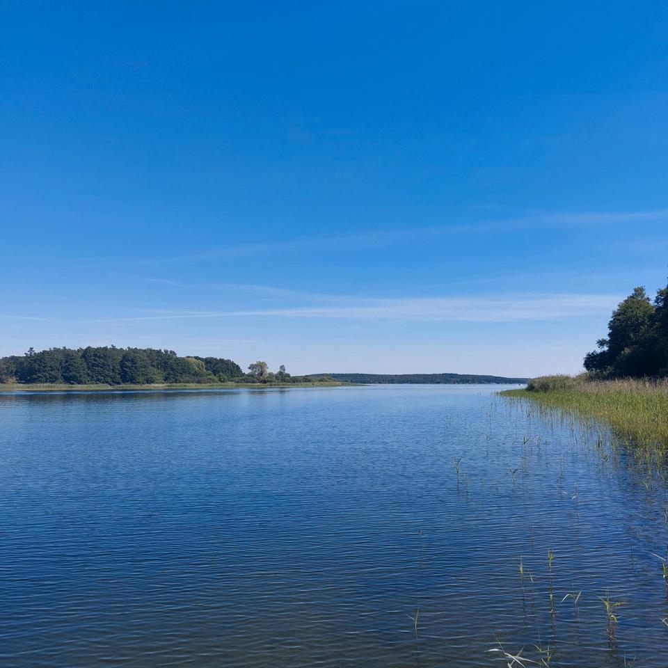 Thumbnail-Ferienhaus am Plauer See mit Seeblick, Steg & Boot