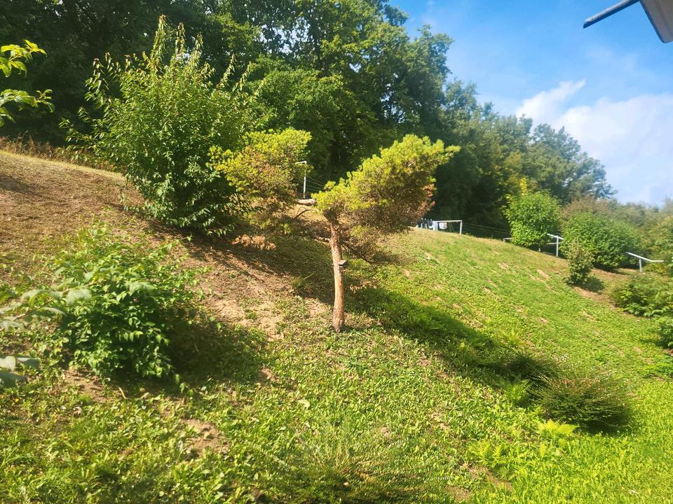 Thumbnail-3zkb Wohnung