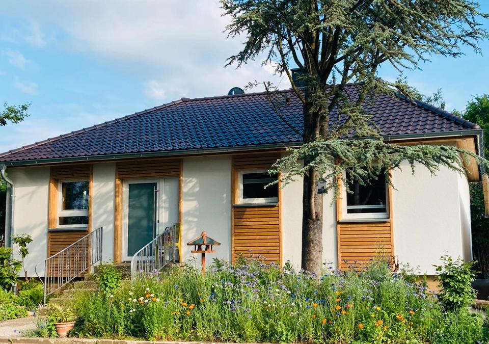 Thumbnail-Ferienhaus Urwald, 2-8 Pers, 3 SZ, 2 Bäder, Sauna, Nähe Kassel