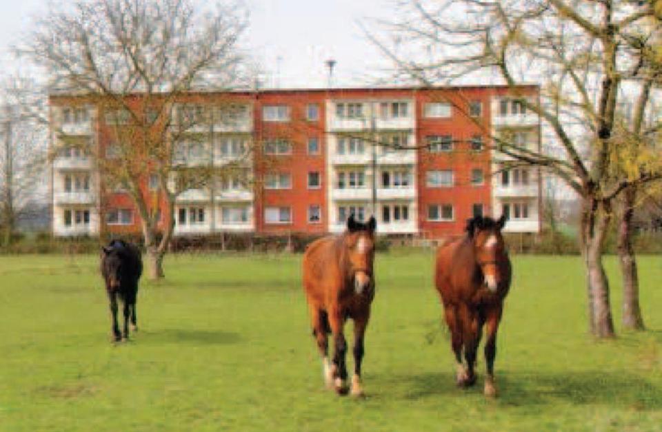 Thumbnail-2x Bad, 110qm , 6 Zimmer , ländlich gelegen im Günen, nähe Demmin