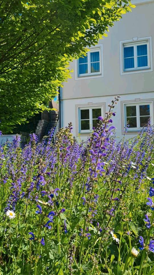 Thumbnail-Einfamilienhaus