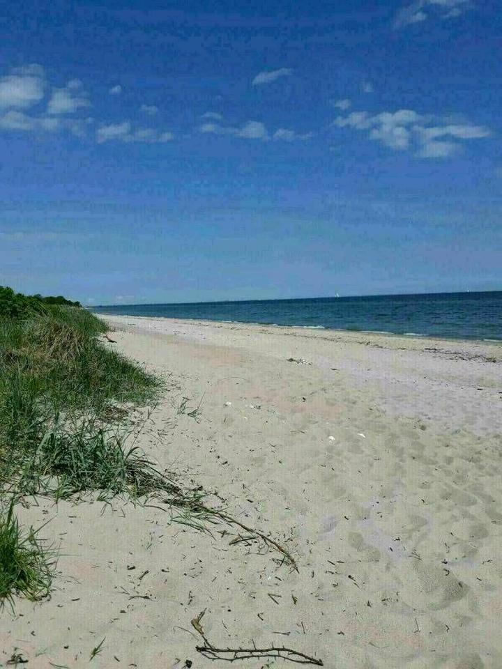 Thumbnail-Ferienhaus an der Ostsee mit großem Garten Hunde willkommen