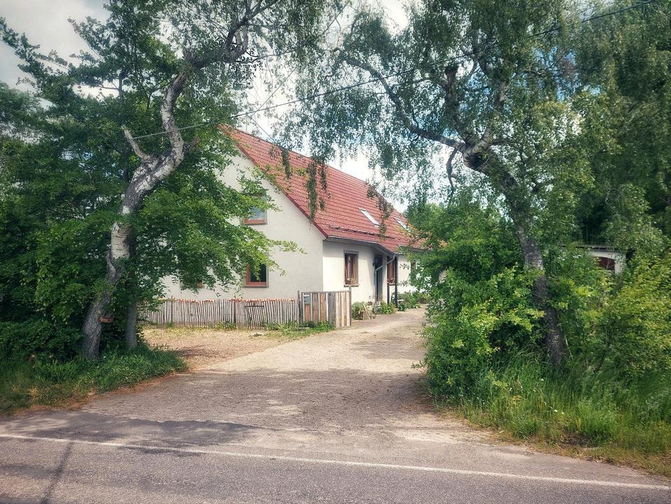 Thumbnail-Hof in Alleinlage mit WeideWald und Hundepension